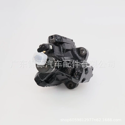 0445010455 Diesel High-Pressure Oil pump, nozzle