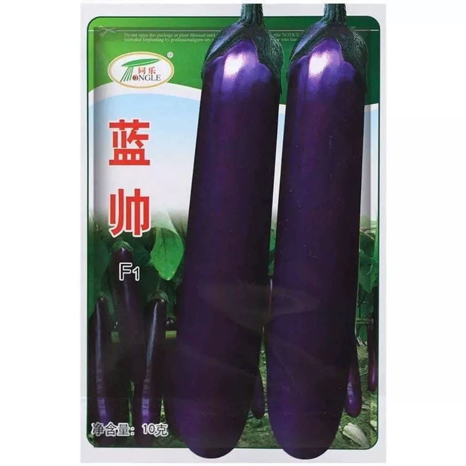 Синий Шуай Длинные Семена Баклажанов Черный Фиолетовый Специальность Баклажаны Фиолетовый Красный Длинные Баклажаны Высокая Урожайность Четыре Сезона Посадка Рассады Овощей В Горшке