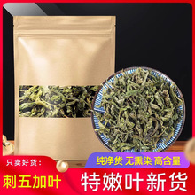 刺五加叶泡水500g 新鲜长白山特产刺五加非茶果籽天然刺五加茶叶