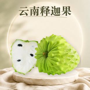 �����ȹ� ���l���l1/2/3/5��С�д������֦�����������rˮ��