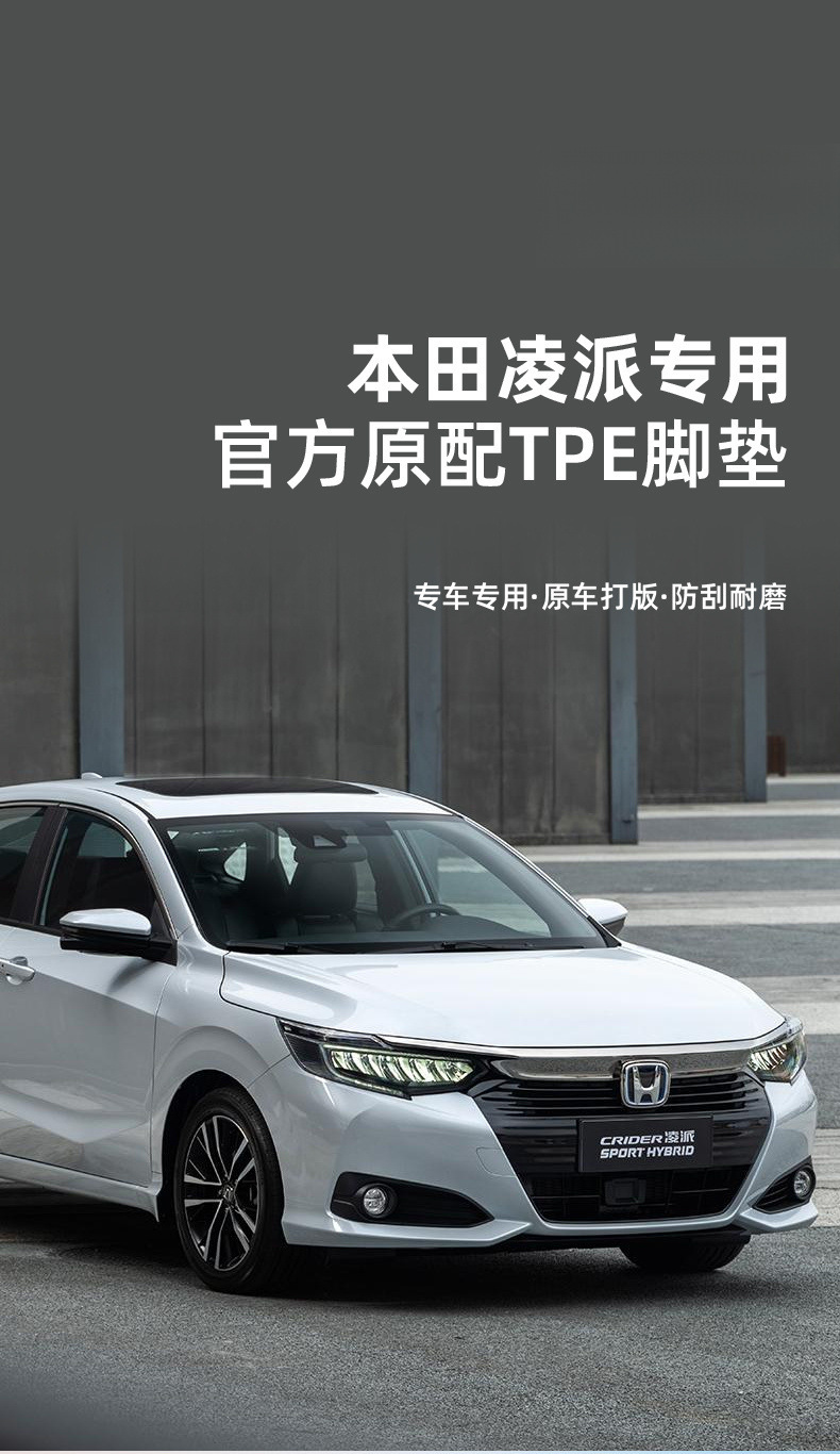 c4077d13-a9d1-477d-9c47-b43cd92c5d39.jpe