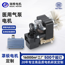 源头工厂按需定制医用气泵电机 R61系列罩极异步电动机微型马达