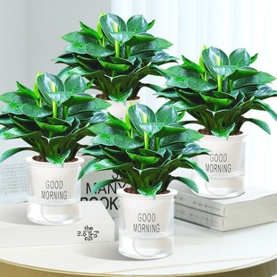 �G�}���Խ�荻��ܰlؔ��С�Gֲˮ����B�k���҃ȶ���ֲ������՚�