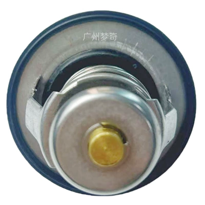 9091603100, Thermostat