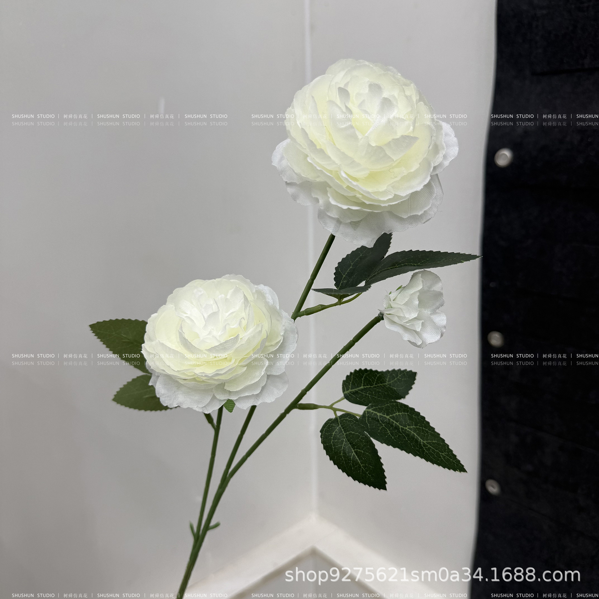 Precio especial de peonía extranjera-blanco