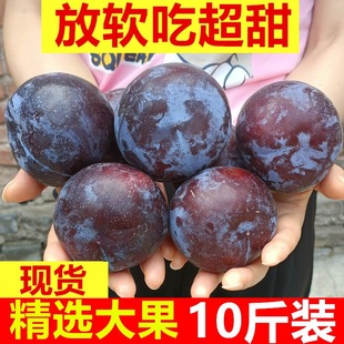 [Выбрано] Вся коробка Shaanxi Heblin Big Plum Box 5/10 фунтов свежих сезонных беременных женщин оптом