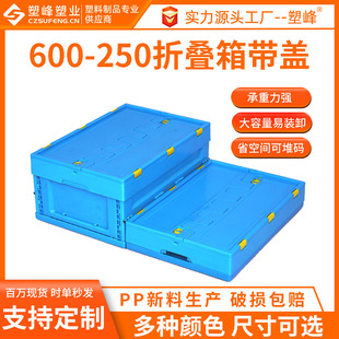 600-250�����ۯB�����D�䎧�w�L���μӺ��ռ{�������D�д��z��