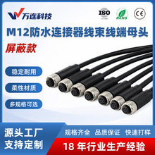 M12-A扣2345芯直式母头单头传感器线束信号带屏蔽注塑防水连接器