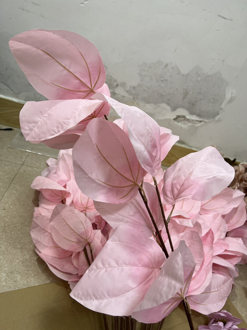 impicture_30f43b19359f52b2dbf1