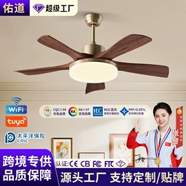 风扇灯;吸顶灯