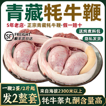 牛鞭新鲜高原西藏牦牛鞭2鞭4蛋全2套牛三宝商用补精男性新鲜现宰