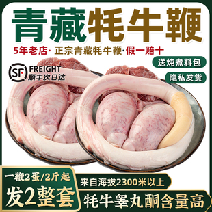 ţ�����r��ԭ���ؚ�ţ��2��4��ȫ2��ţ���������a���������r�F��