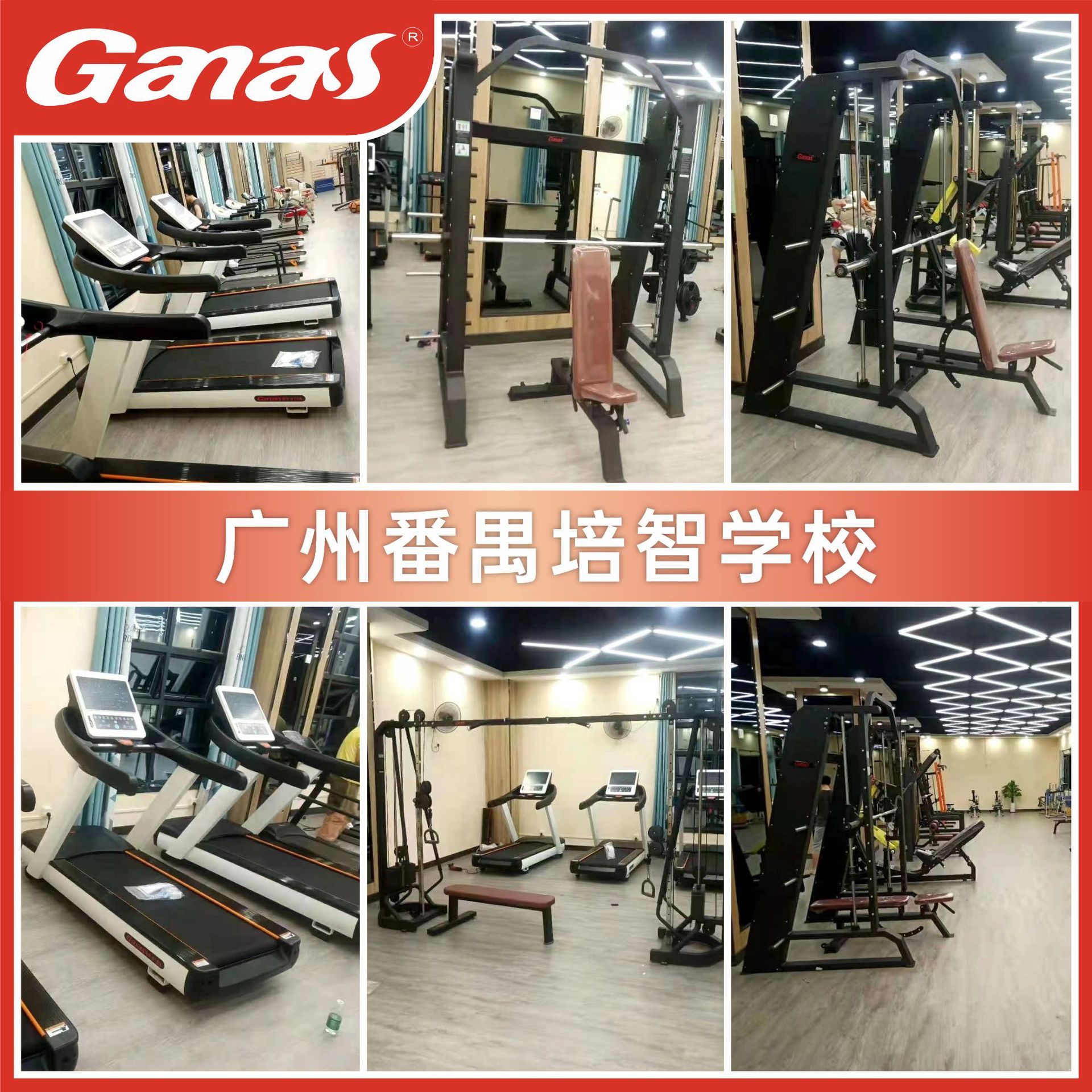 Gimnasio transfronterizo especial piernas espalda equipo de ejercicio abdominal conjunto completo de fuerza comercial equipo de ejercicio aeróbico