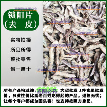 iꖽiiꖴƬȥƤiiݾiƬș