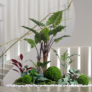 ֲ���쾰�b��҃Ș������D����ؼپGֲ���^���Ԙ�߷���Ҿ��b��