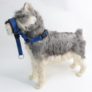 Dog Leash, Dog Muzzle, Anti-Bite, Anti-Bark Pet Mask, Dog Mouth Protective Cover, Source Factory Spot Wholesale