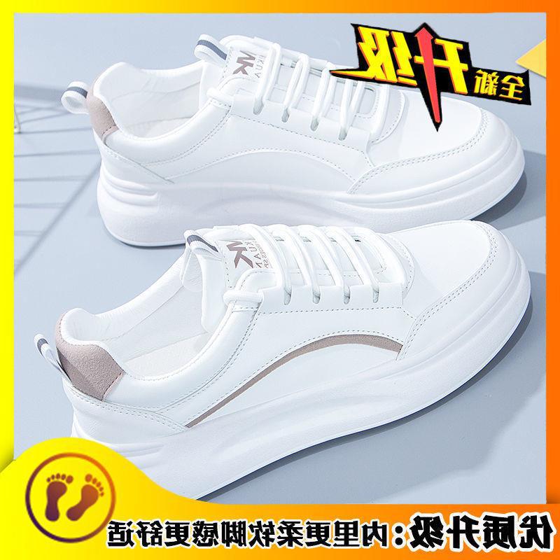 브라운 업그레이드 버전