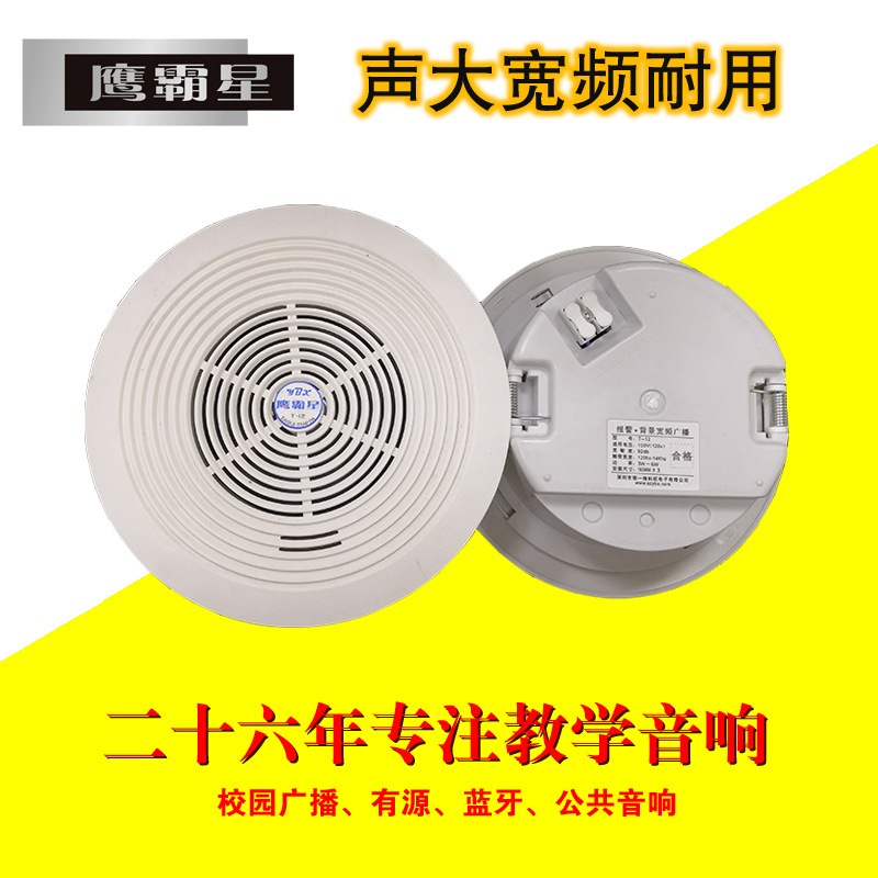 Indoor fire public broadcast speakers shopping mall ceiling ceiling…