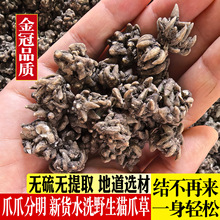野生猫爪草散结节茶100g中药材水洗猫爪草猫抓草郁金夏枯草蒲公英