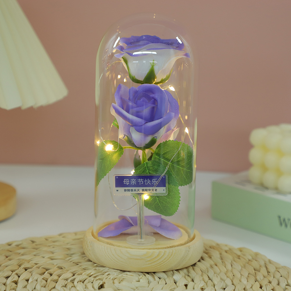 Fábrica al por mayor Flor eterna Cubierta de vidrio Clavel Caja de regalo Flor simulada Decoración de escritorio Día de la madre Regalo para mamá