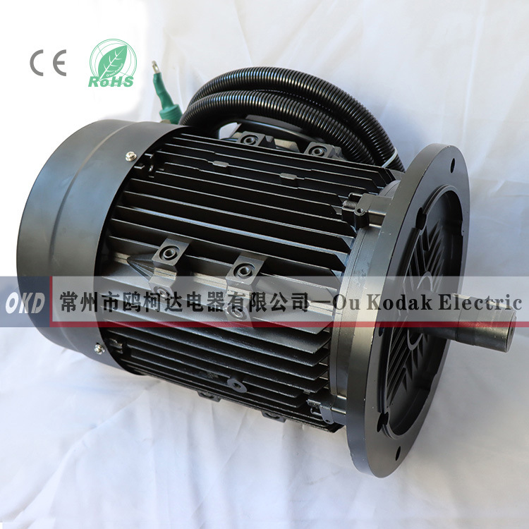 24V 1KW 2KW 3KW 永磁直流无刷电机 36V1500RPM有刷电机 3000转