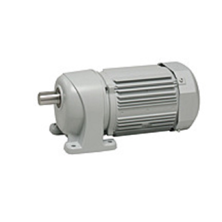 NISSEI日精G3L-18-5-020  010减速机TAIYD马达TAV4SL-45LG010