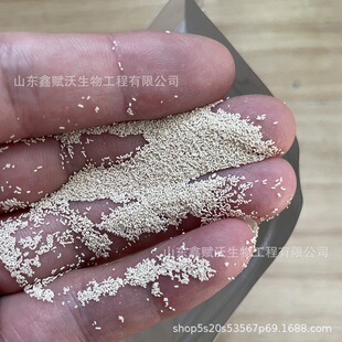 ᄾƽ�ĸ�� ��ĸ�� ������ӄ�ˮ�a�Bֳ�r�I�Nֲ ᄾƽ�ĸ��