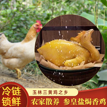 鸡肉广西盐焗鸡整只古法腌制广式咸味即食熟食手撕鸡香鸡鸡肉