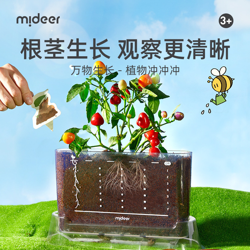 Mideer Milu Planting Sunshine Room Children's Science Small Experiment suit Vegetable Plant Growth Observation Box