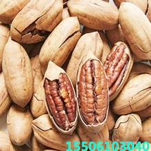 ��Ƥ���ҷN�����ϱ����N��8518������Ҙ�С��̸��������ļ��Y��