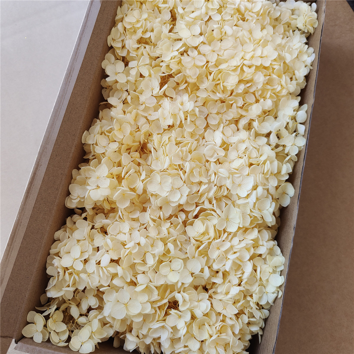 Flor eterna Hortensia Anna pequeña hoja flor seca flor real árbol de Navidad ventilador hecho a mano ramo DIY material paquete flor