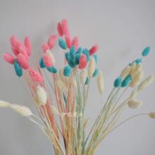 云南干花宝石草包小花束新娘手捧花永生花花材