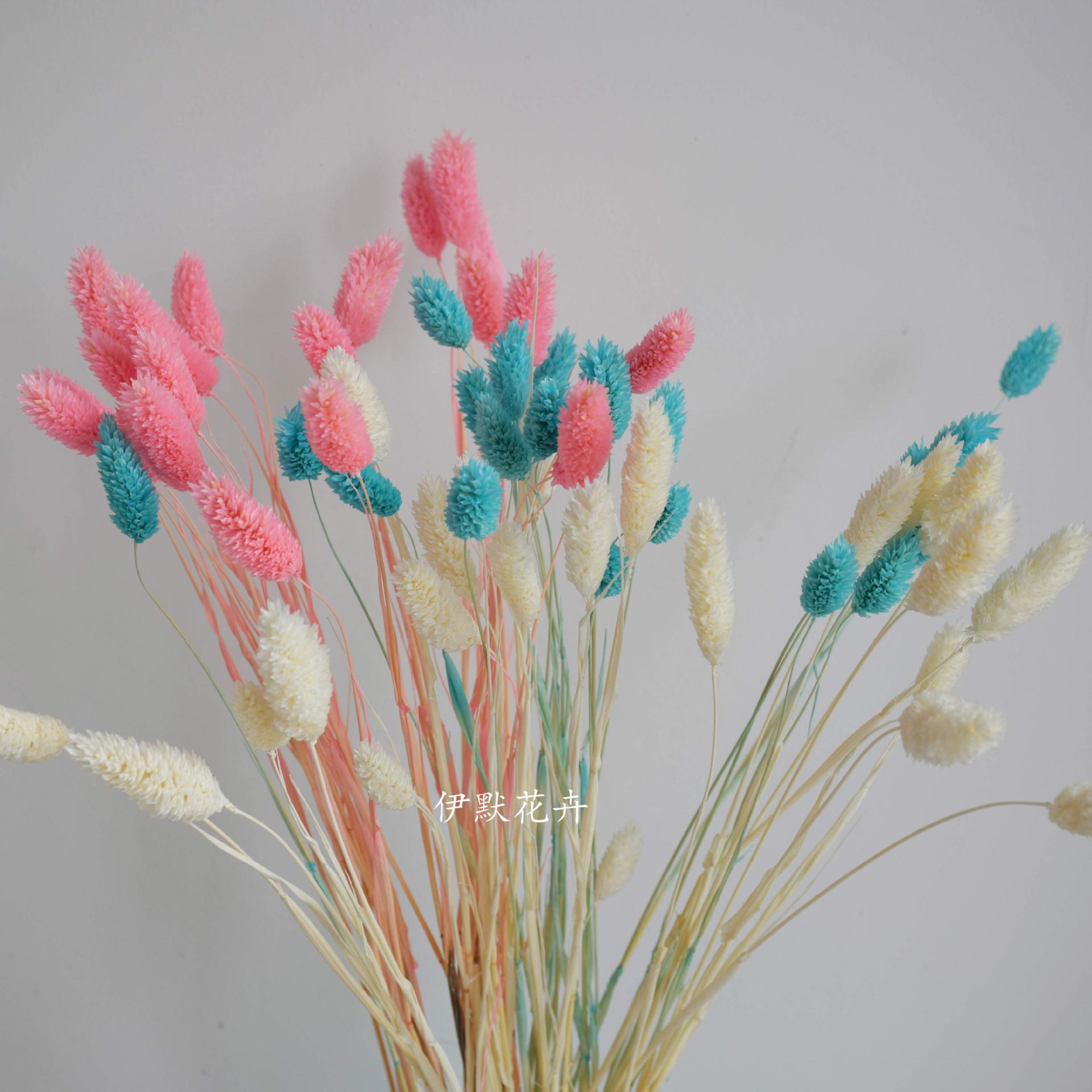云南干花宝石草包小花束新娘手捧花永生花花材