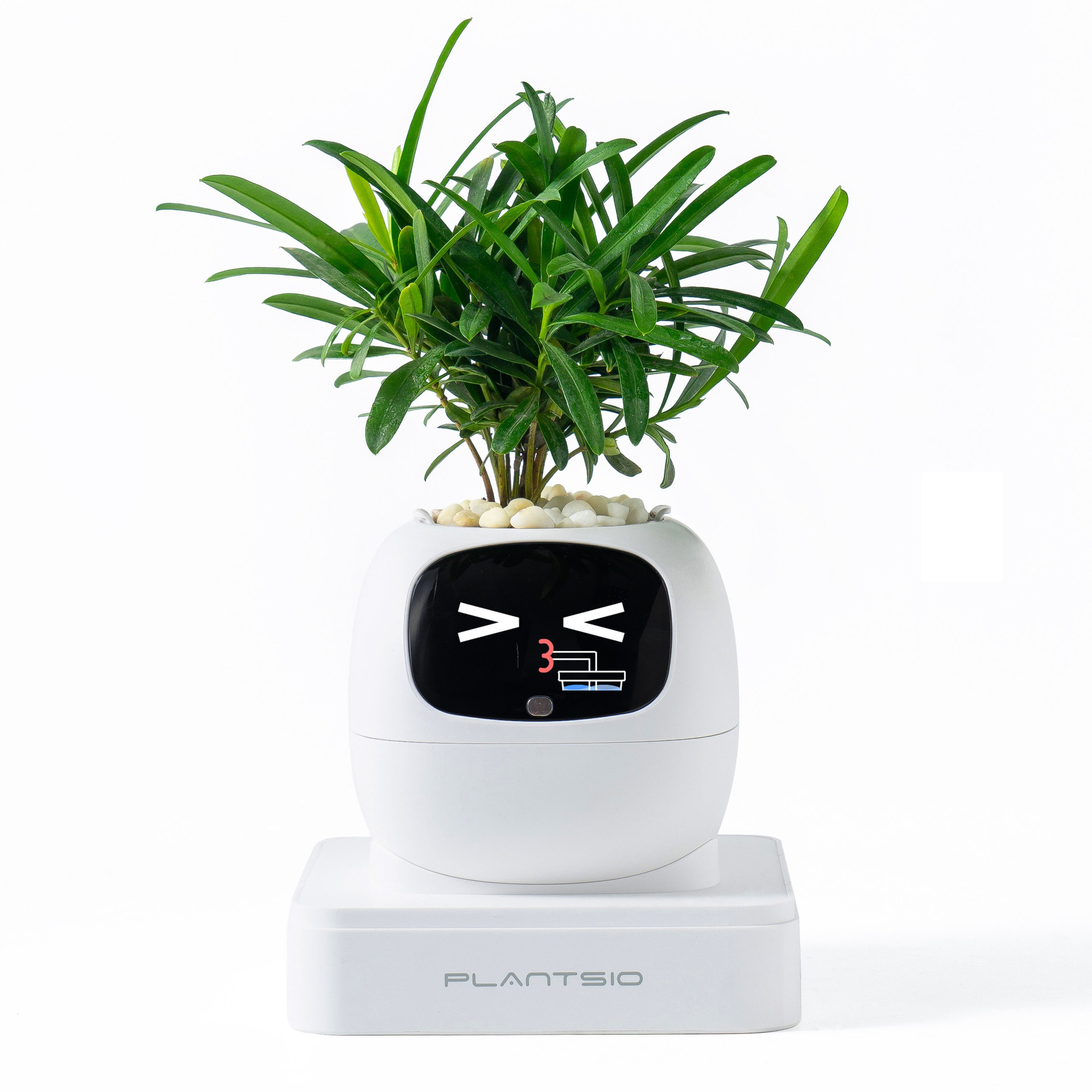 Intelligent automatic pet mood robot flower pot