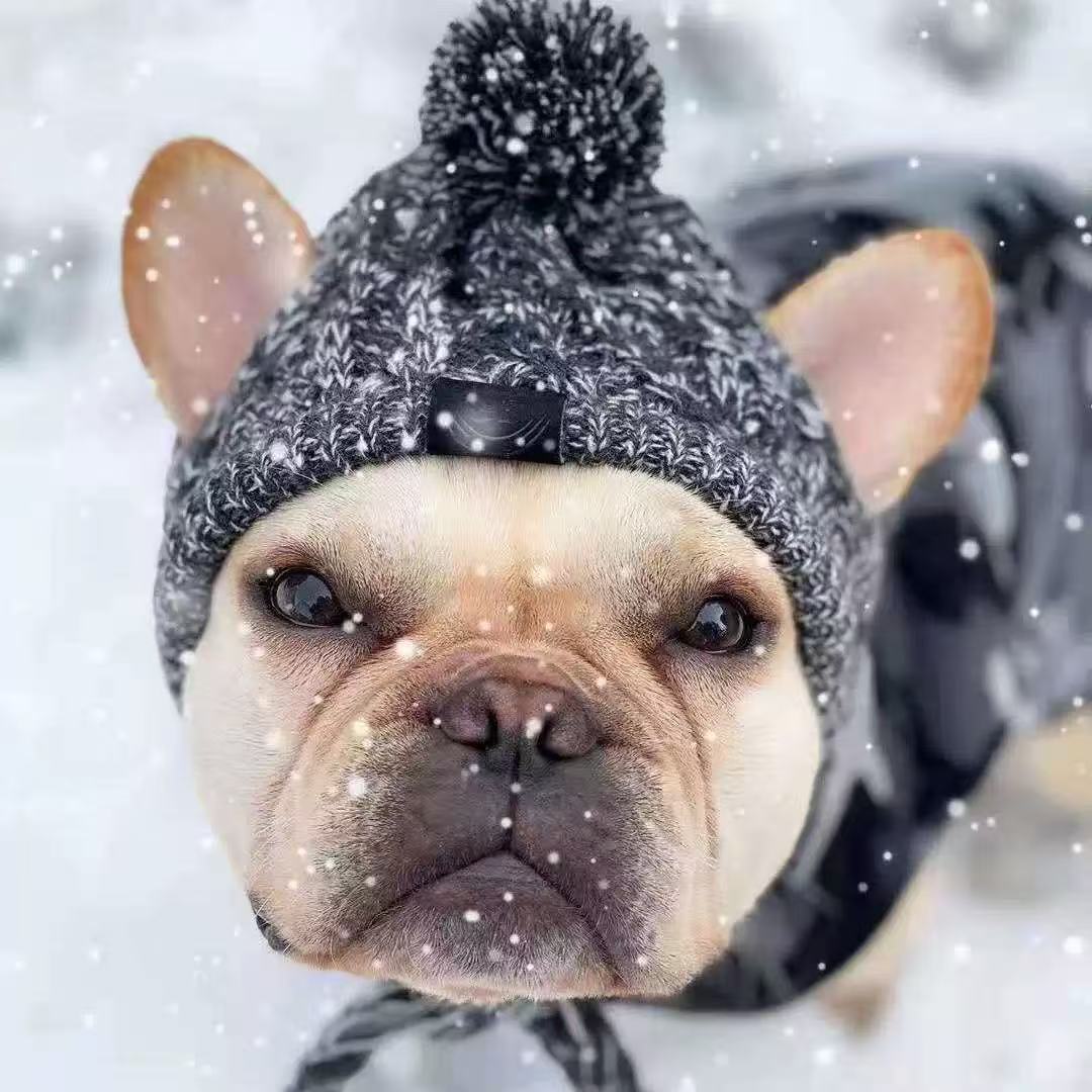 Gorro de Lana para Mascotas con Orificios para Orejas para Perros Pequeños y Medianos image 1