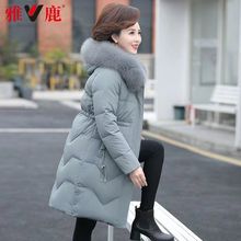 qŮ2025¿LqӺn挒BñŮ