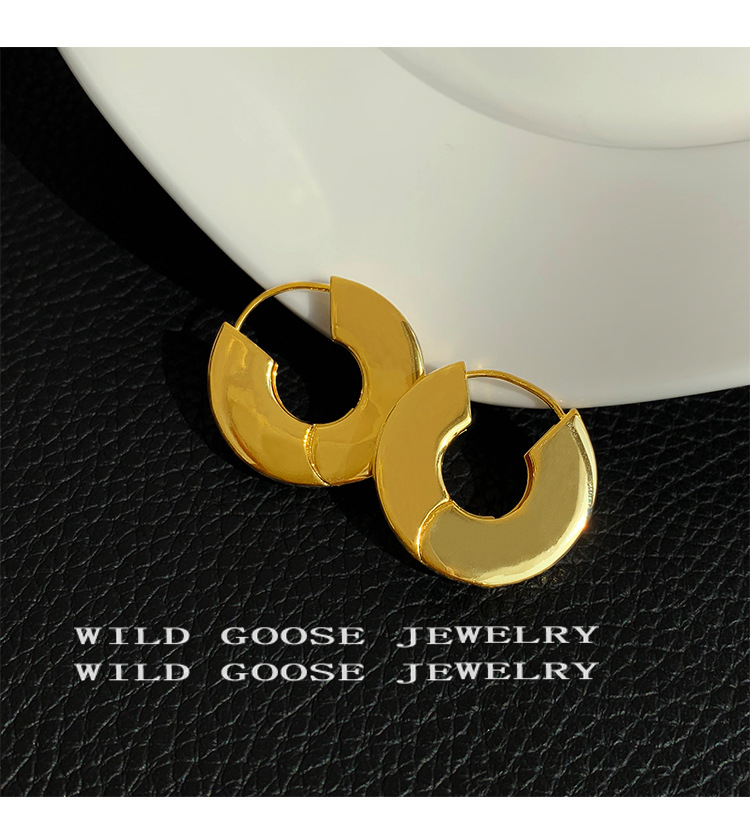 10g Weight Earrings Classification 1 Pair Quantity Daily Occasion Metal Material Geometric Pattern Women'S Gender Plating Design Fashion Style 1 Pair Fashion Geometric Metal Plating Women's Earrings 14