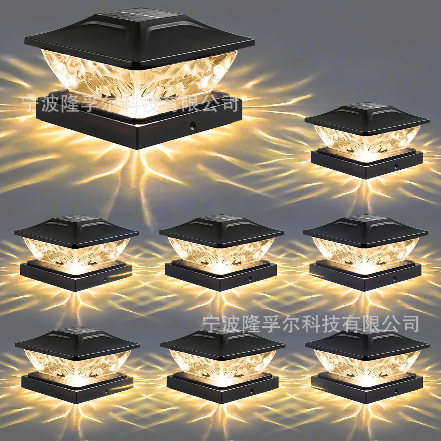 인기 모델 - 블랙 모델 1-2-4-6-8-12 팩 - 듀얼 모드 - 화이트 + 웜