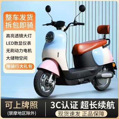 Scooter for Commuting to Work, Elektrikli motosikletlər