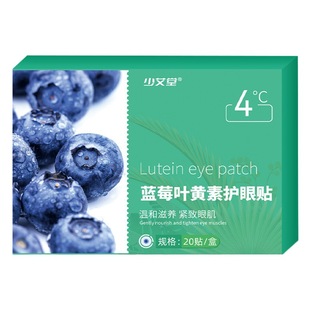 Shao Ai Tang blueberry lutein eye protection patch to relieve eye fatigue young people Wormwood cold eye patch factory wholesale