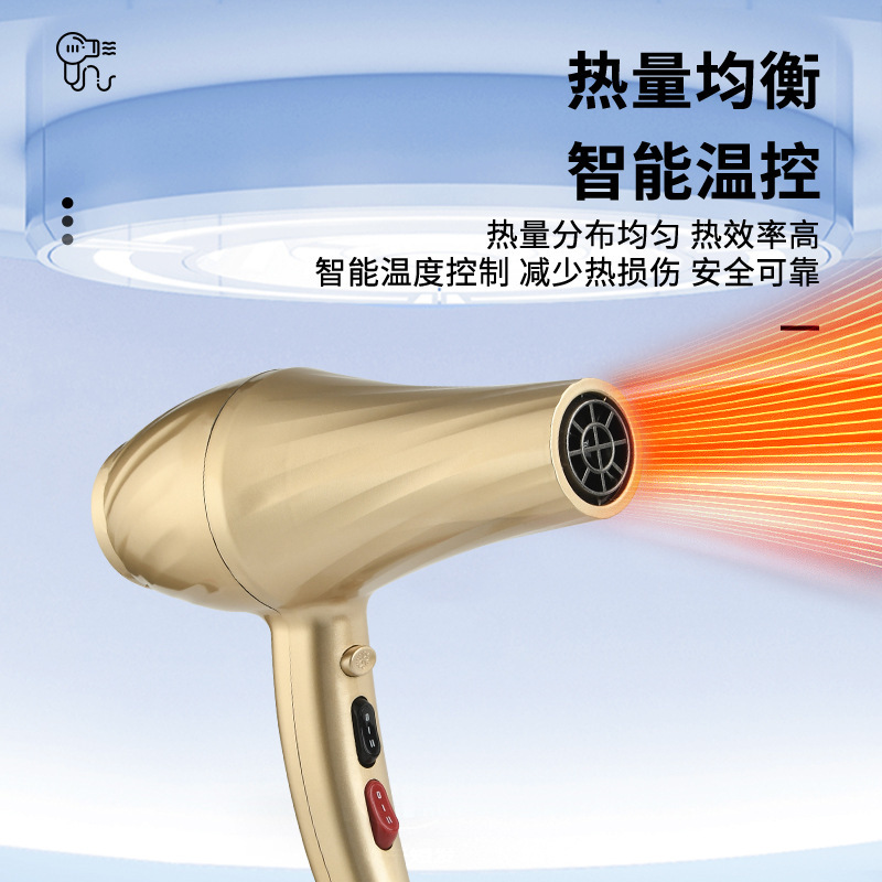 電気ドライヤー家庭用ヘアケア大出力ヘアサロン理髪店ホテル専用の強風力速乾燥熱風筒|undefined