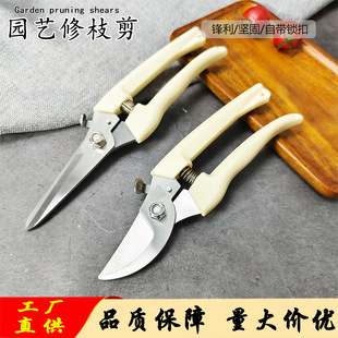 Household white pruning shears pruning potted fruit picking pruning branches grape shears wholesale gardening pruning shears