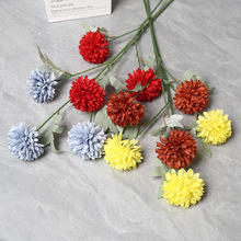 �����ѹ�Ӣƹ����ջ����Q��@С���½����Ҿӻ�c�zӰ�����b�