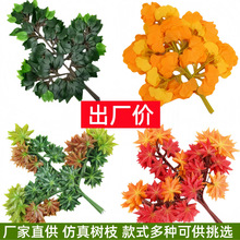 ������~��֦����ֲ���b��Ř�֦�t���~�Gֲ�@�־G�������쾰�٘�