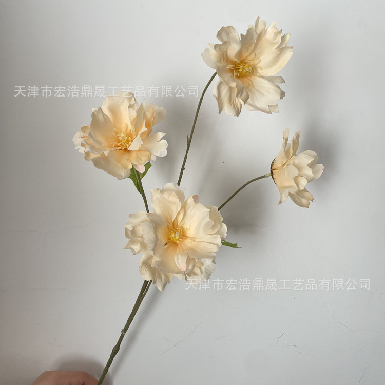 샴페인