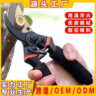 �ձ��Ӻ�SK5䓘�֦������������֦�@�ּ�õ���޼�������֦�����l