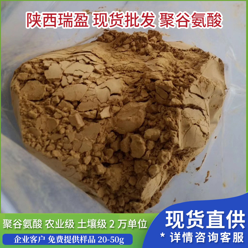 聚谷氨酸 农业级 2万单位 L-聚谷氨酸粉末 瑞盈现货 批发聚谷氨酸