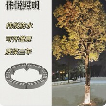 led���������h���՘���羳���Q�b���߲�����A�α��������