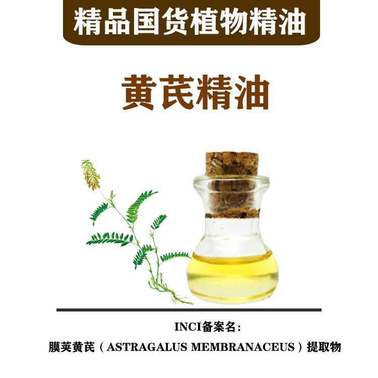 批发供应 黄芪精油 膜荚黄芪（ASTRAGALUS MEMBRANACEUS）提取物