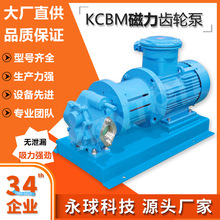 KCBM不锈钢磁力泵齿轮泵 无泄漏高粘度齿轮泵永球厂家直销